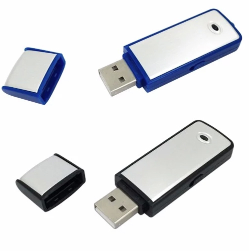 audio recorder in usb flash disk