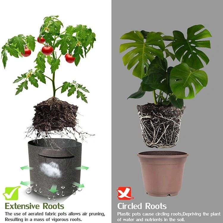 eco bag for growing plants