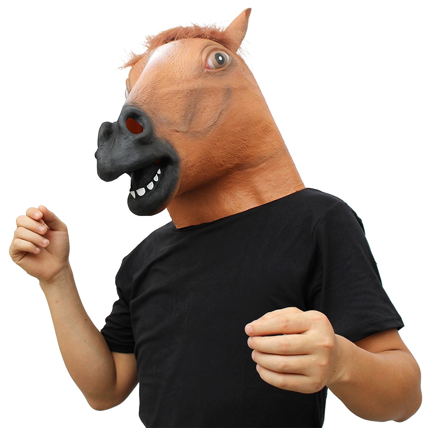 horse head as a mask