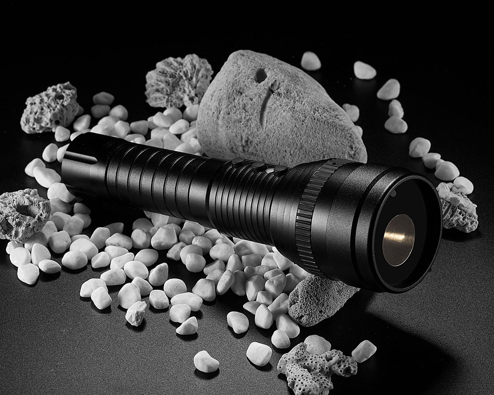 LED torch with camera