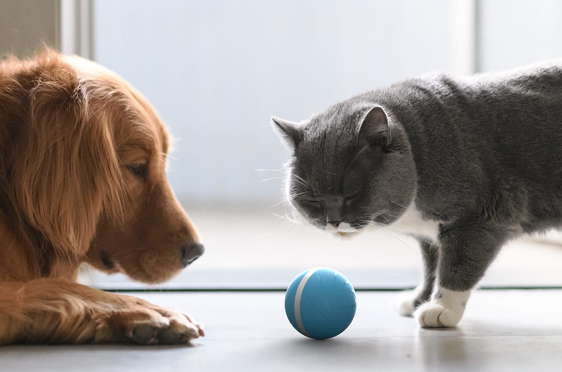 ball for cats smart cheerble