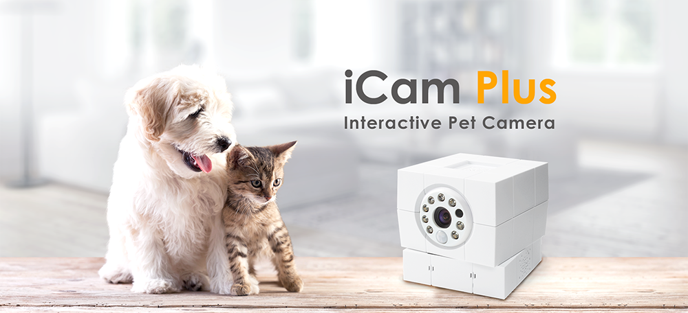 home IP camera monitoring plus animals