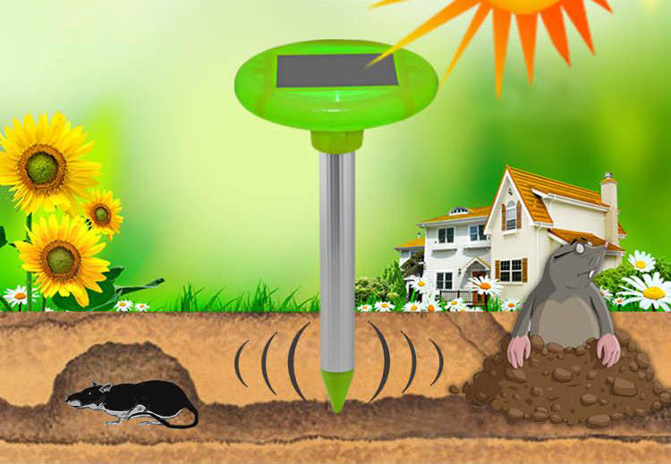 solar detector of moles and rodents