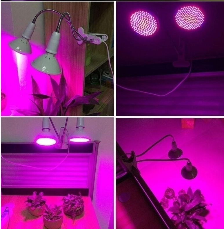 artificial light for plants