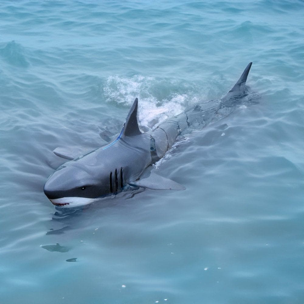 RC shark for remote control into the water with a controller
