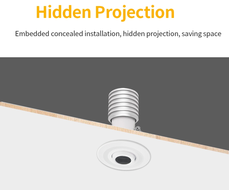 built-in projector on the ceiling