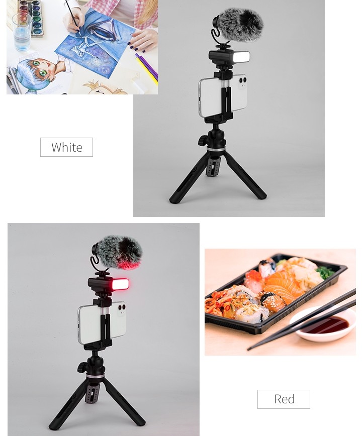 tripod for mobile phone (selfie holder) + microphone and light