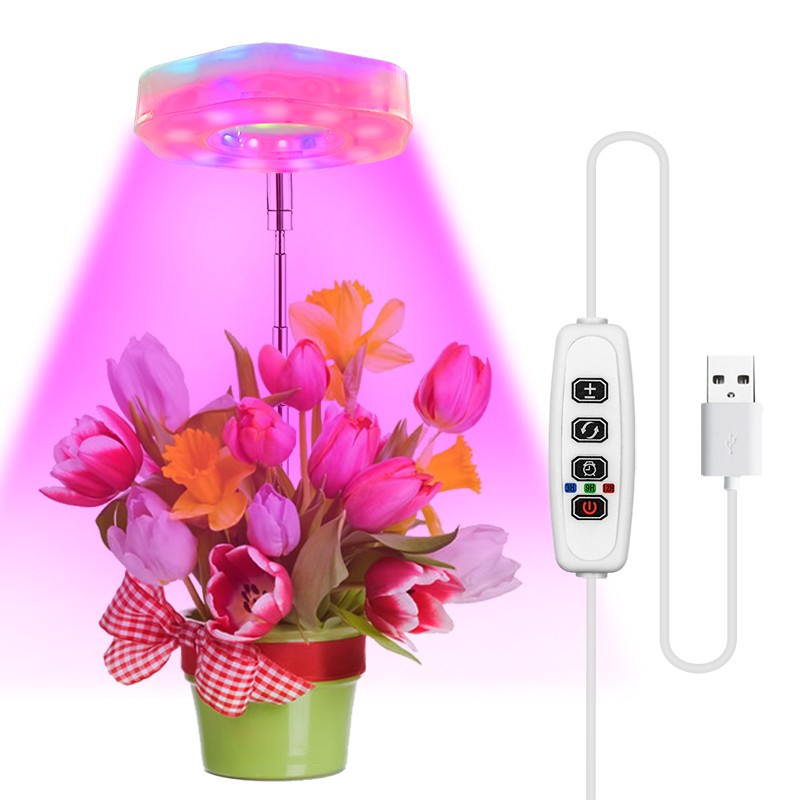 RGB lamp for plant growth