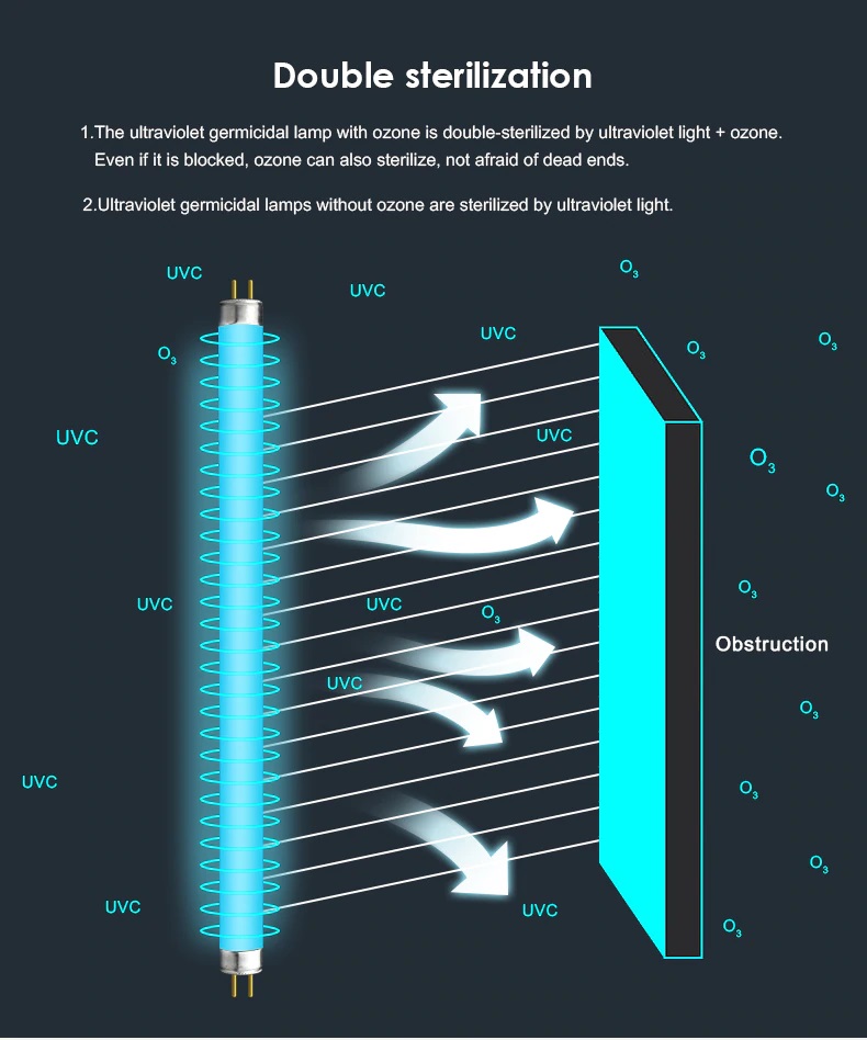 UV and ozone disinfection