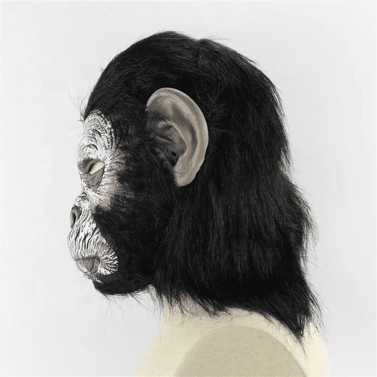 Halloween monkey mask from the planet of the apes