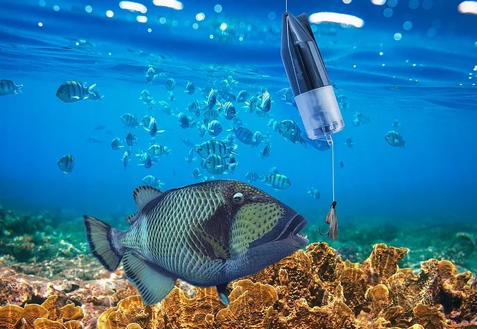 underwater fish camera
