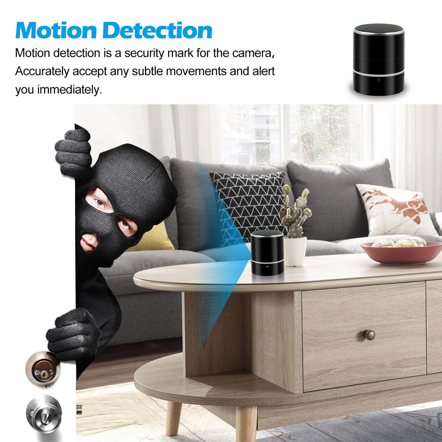 Speaker with hidden camera and motion detection