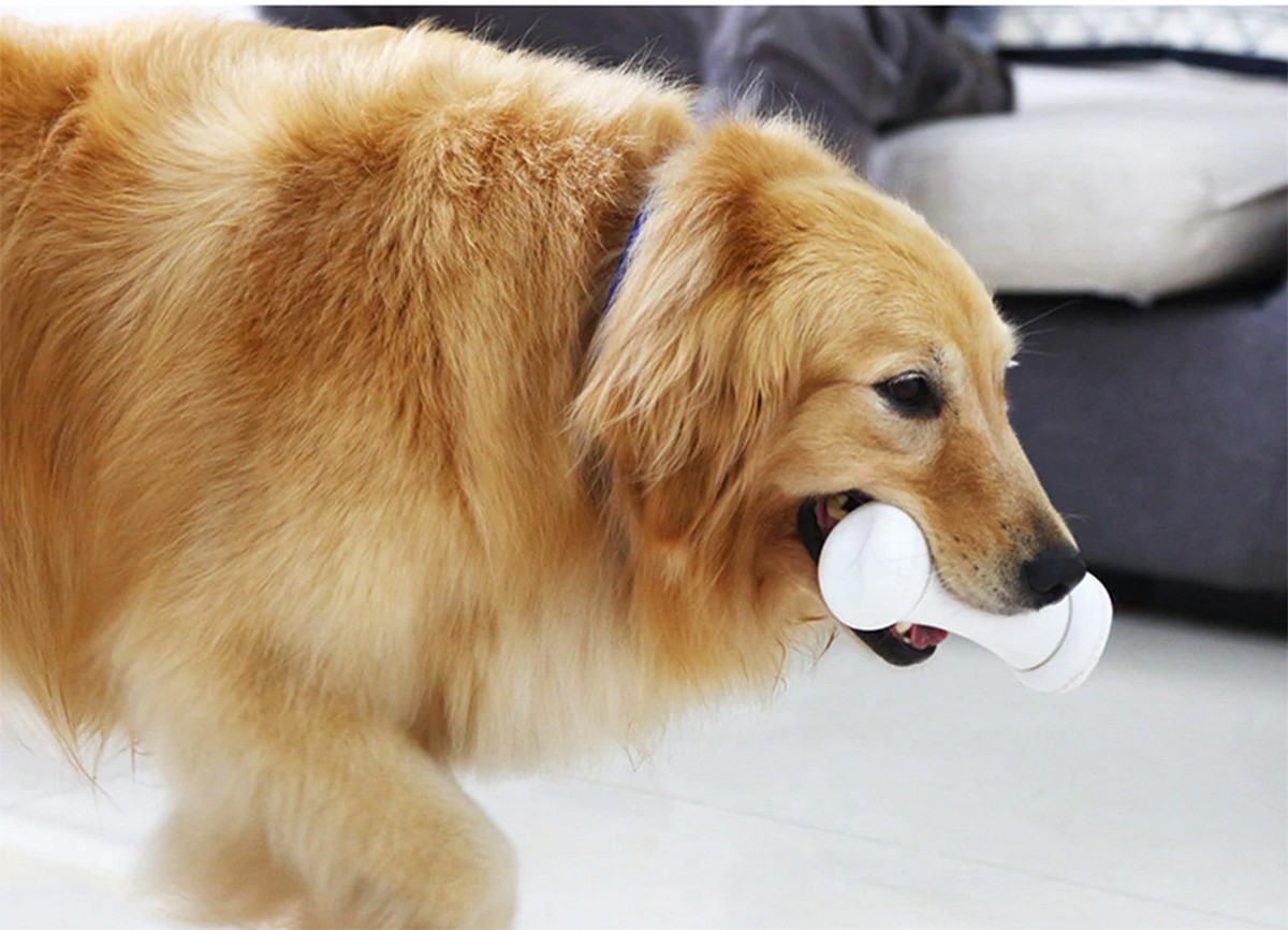 smart bone toy for dogs wicked bone