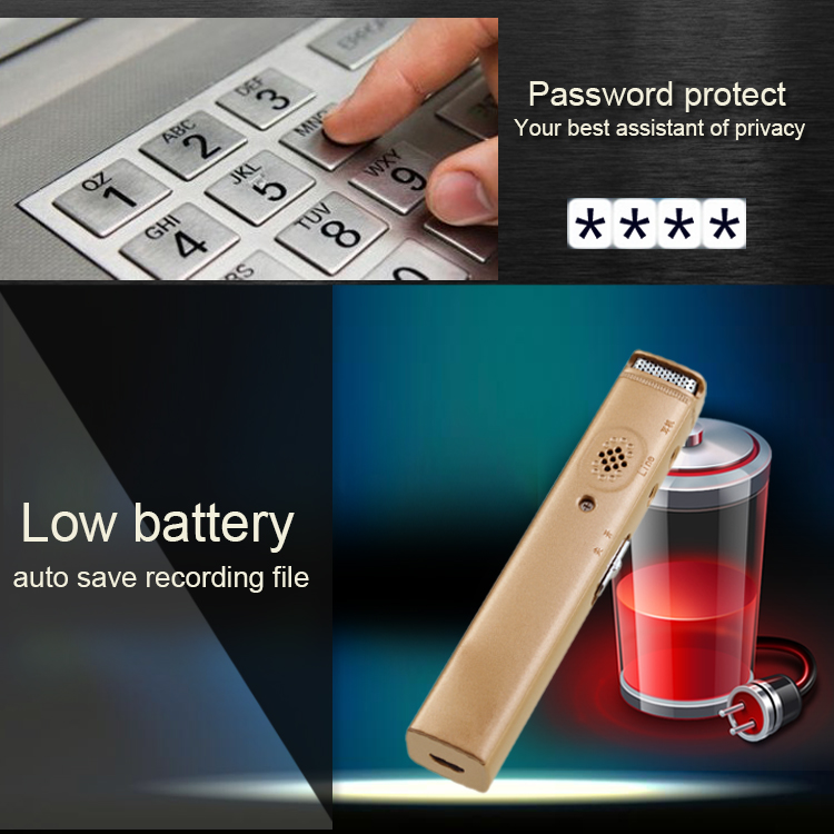 voice recorder with password protection and low battery indicator