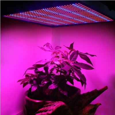 LED grow light