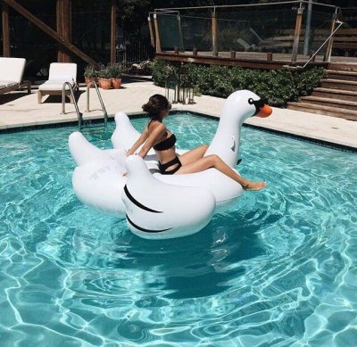 inflatable white swan